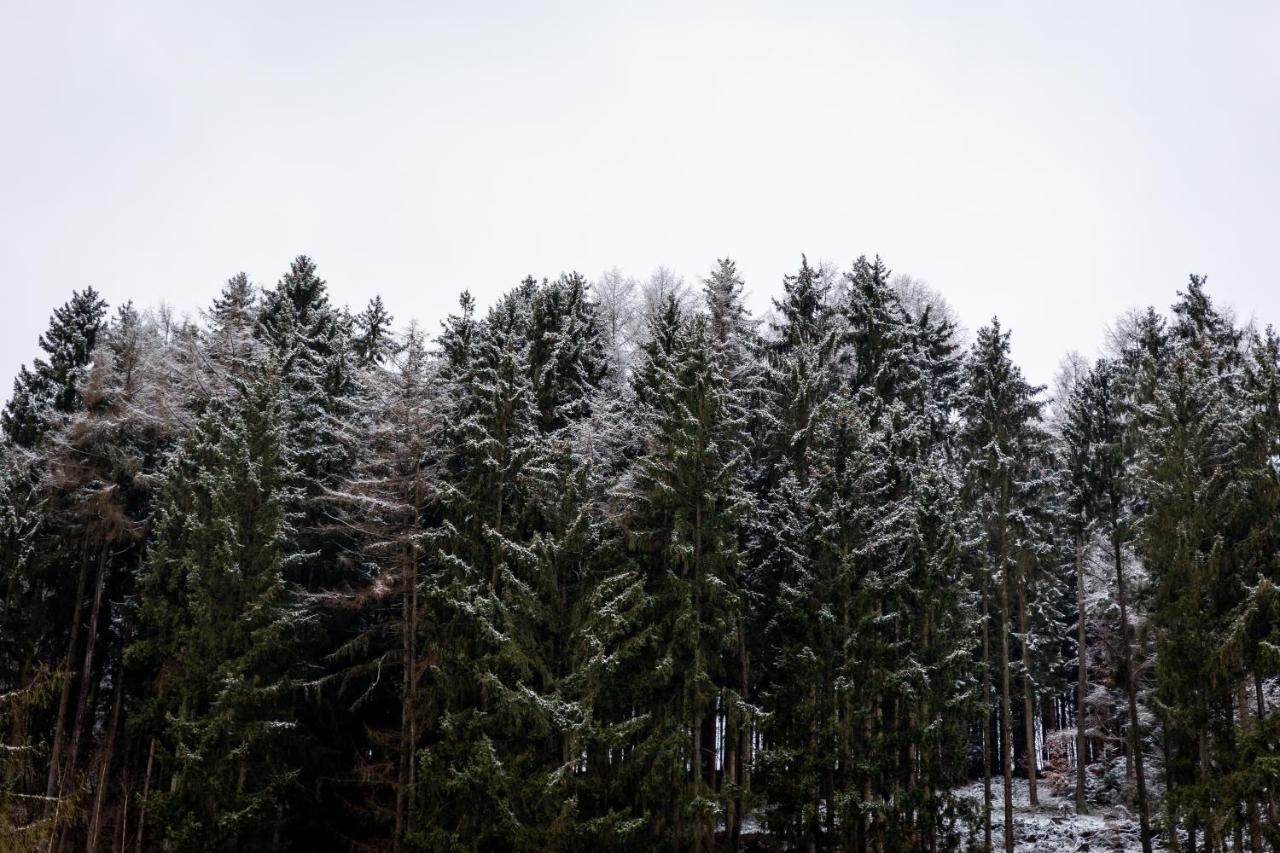 Hotel Tiefenhagen Sauerland Lennestadt Kültér fotó