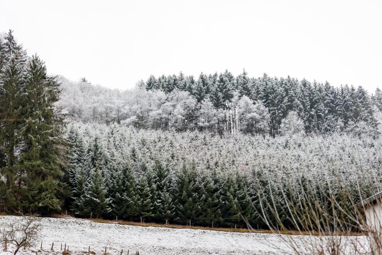 Hotel Tiefenhagen Sauerland Lennestadt Kültér fotó